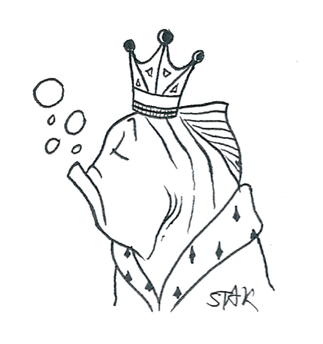 Illustration