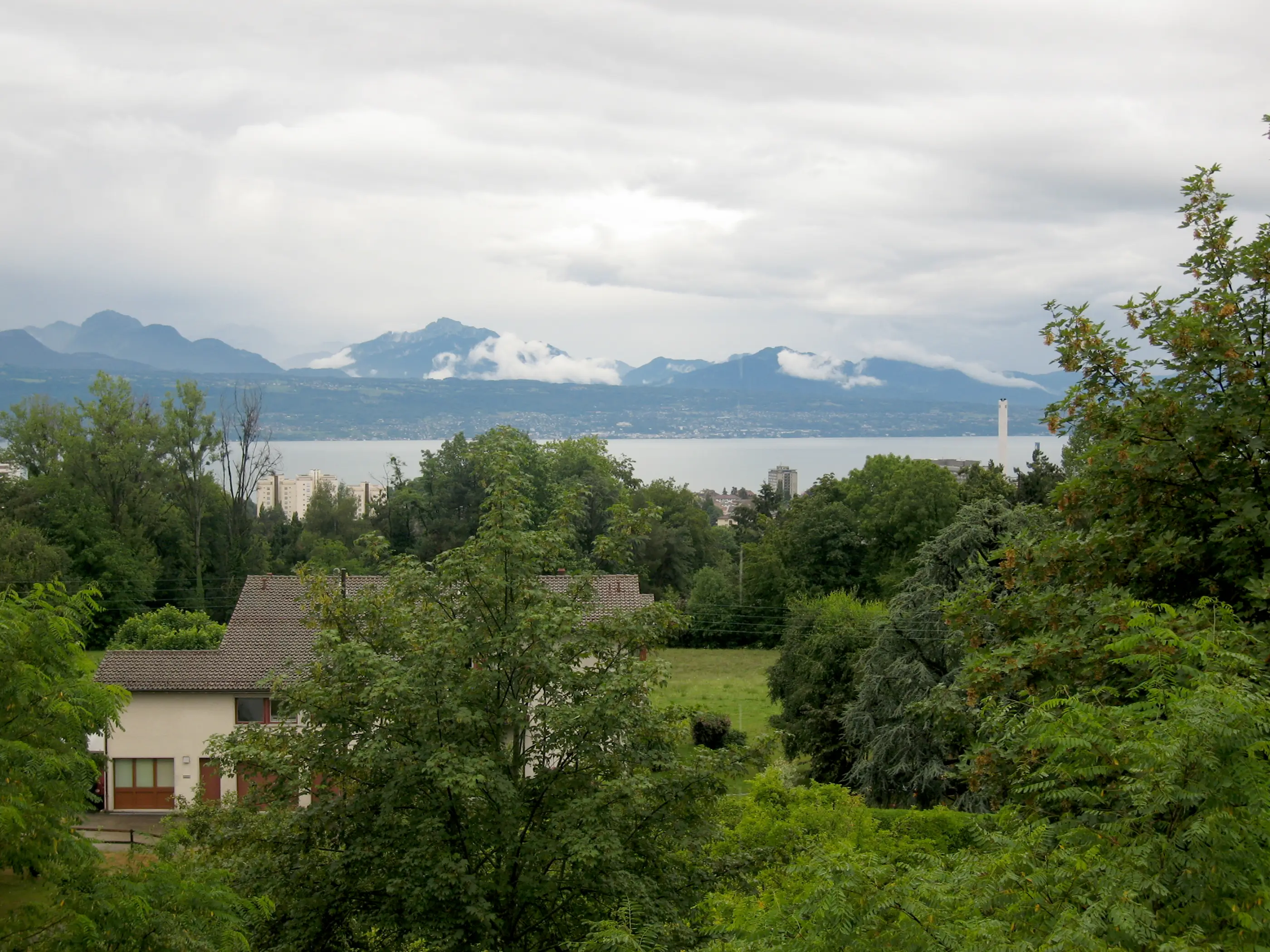 Image agrandie
