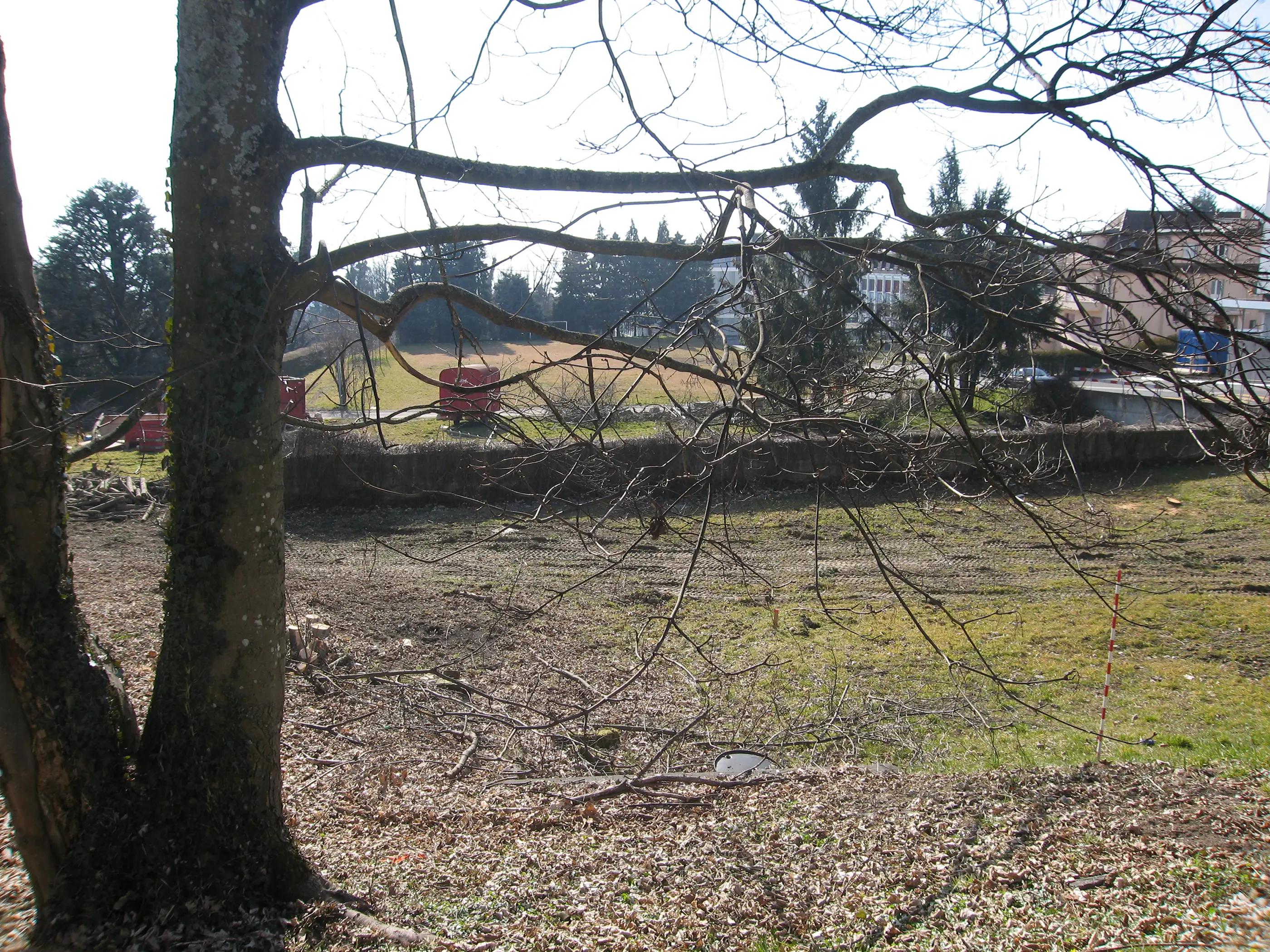 Image agrandie