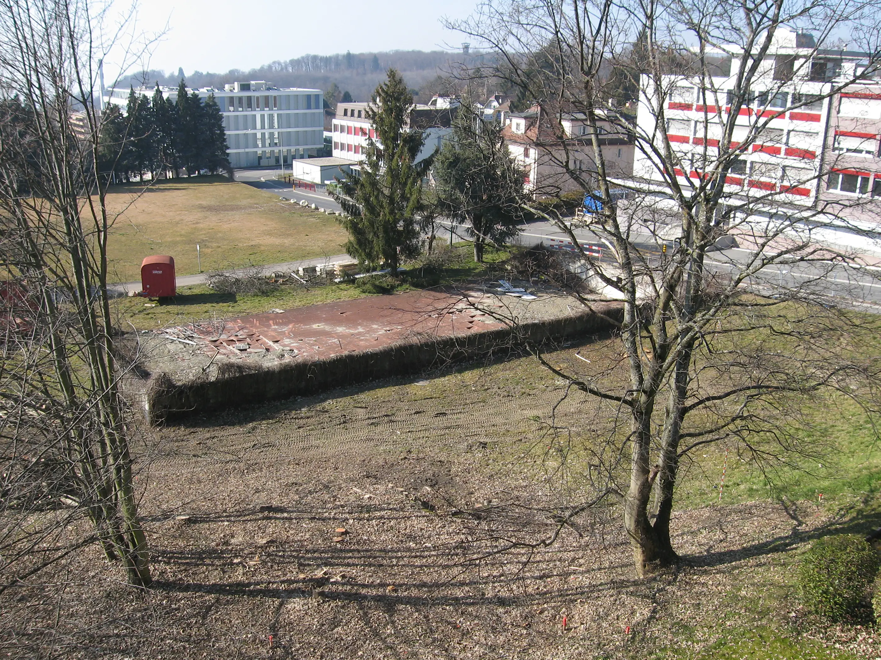 Image agrandie