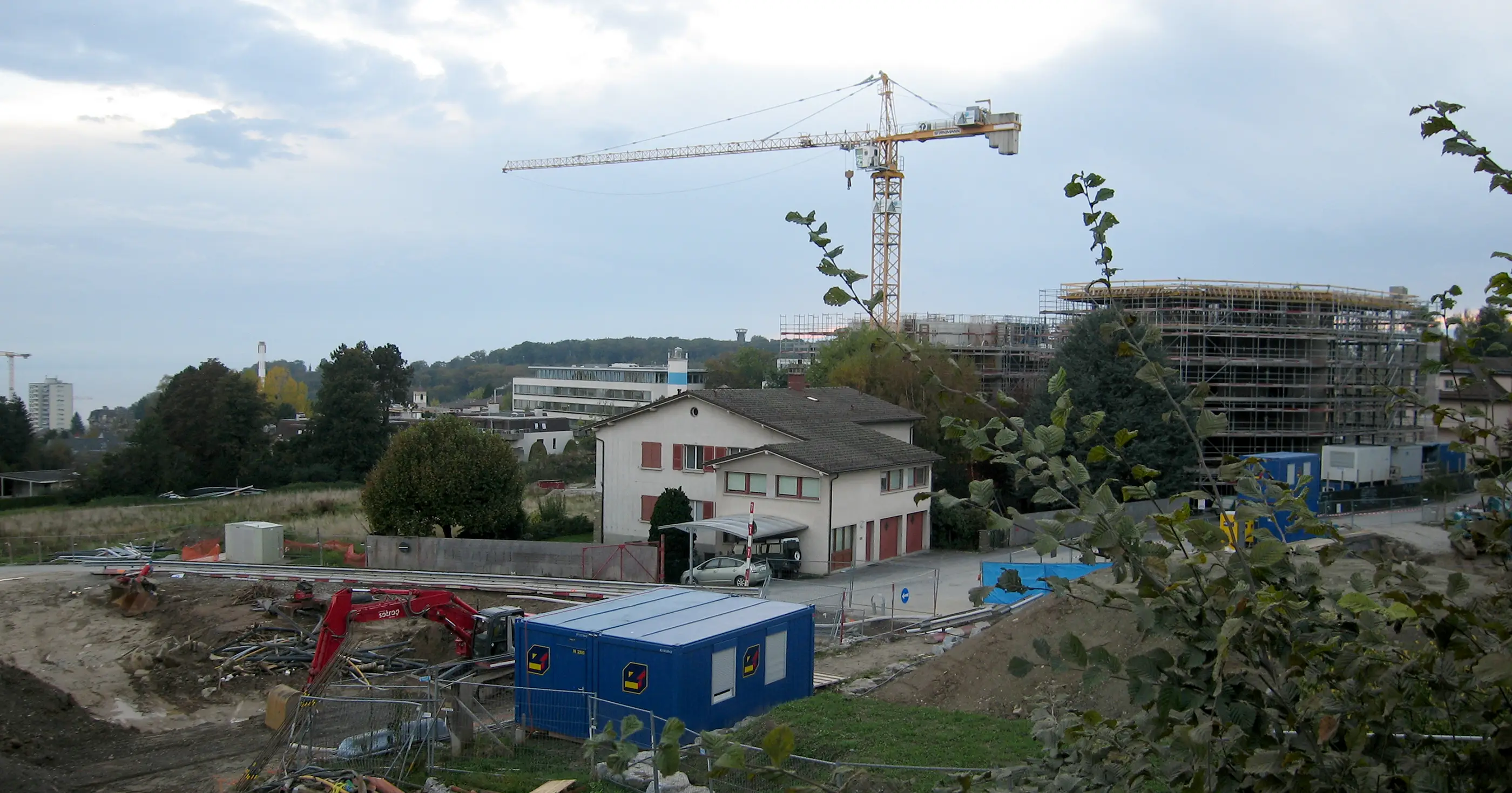 Image agrandie