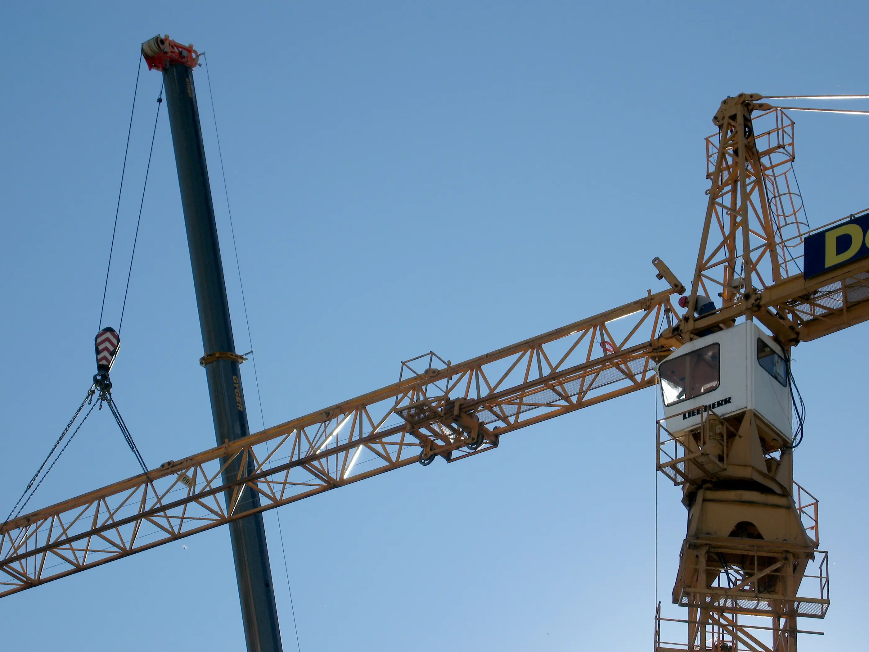 Image agrandie