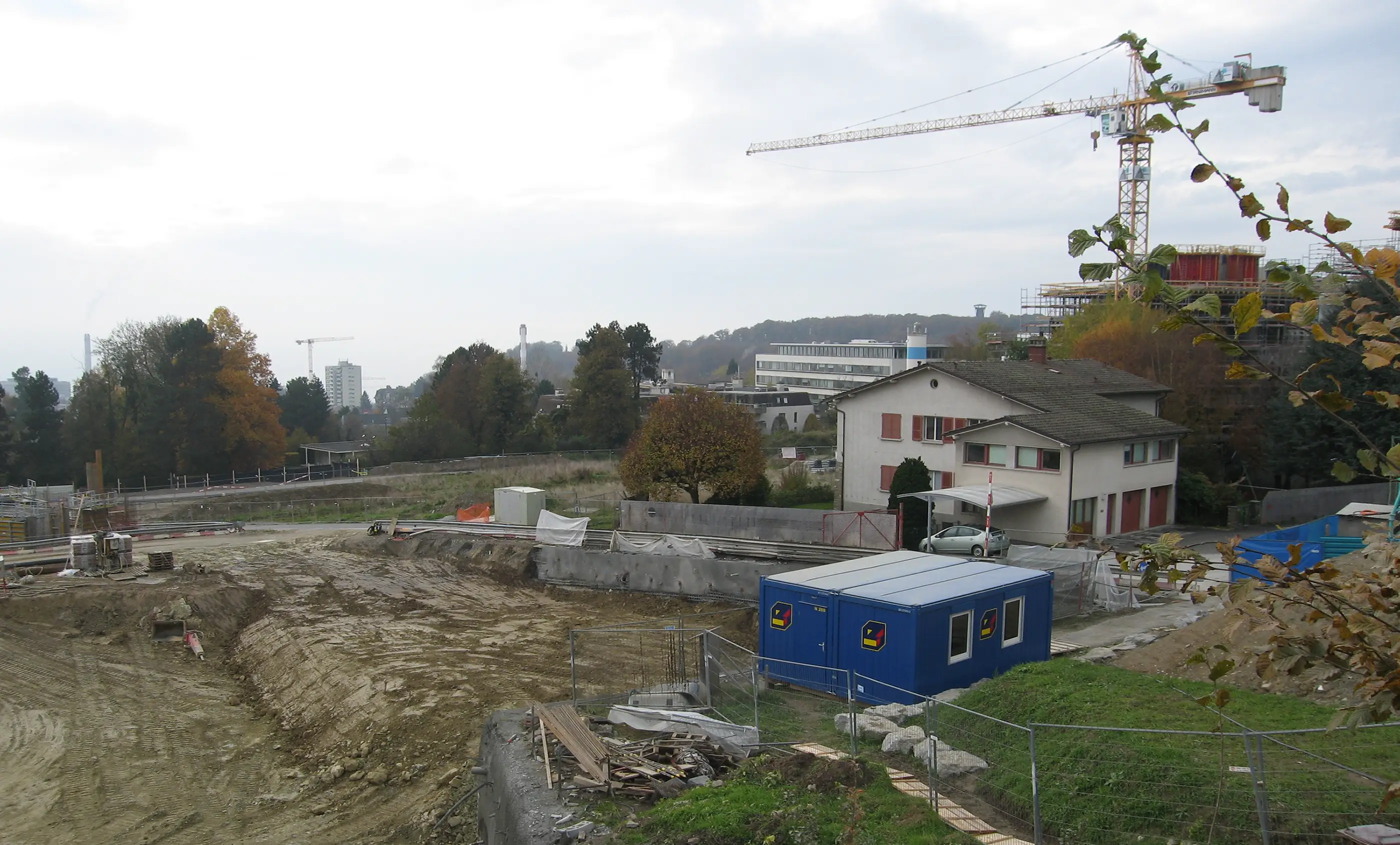 Image agrandie