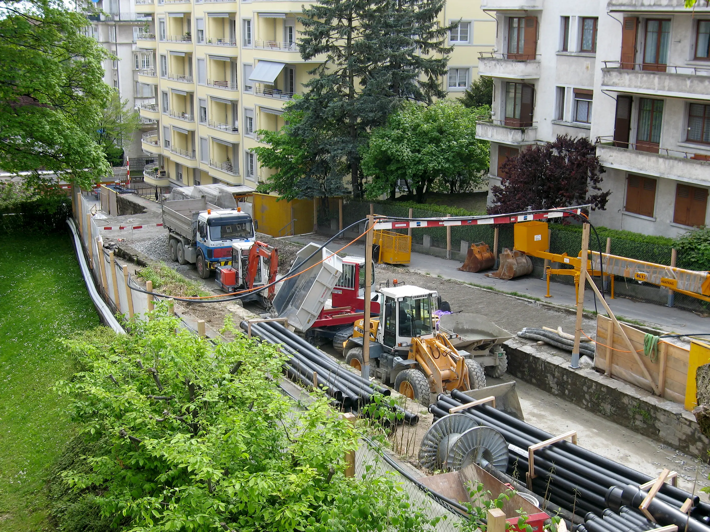 Image agrandie