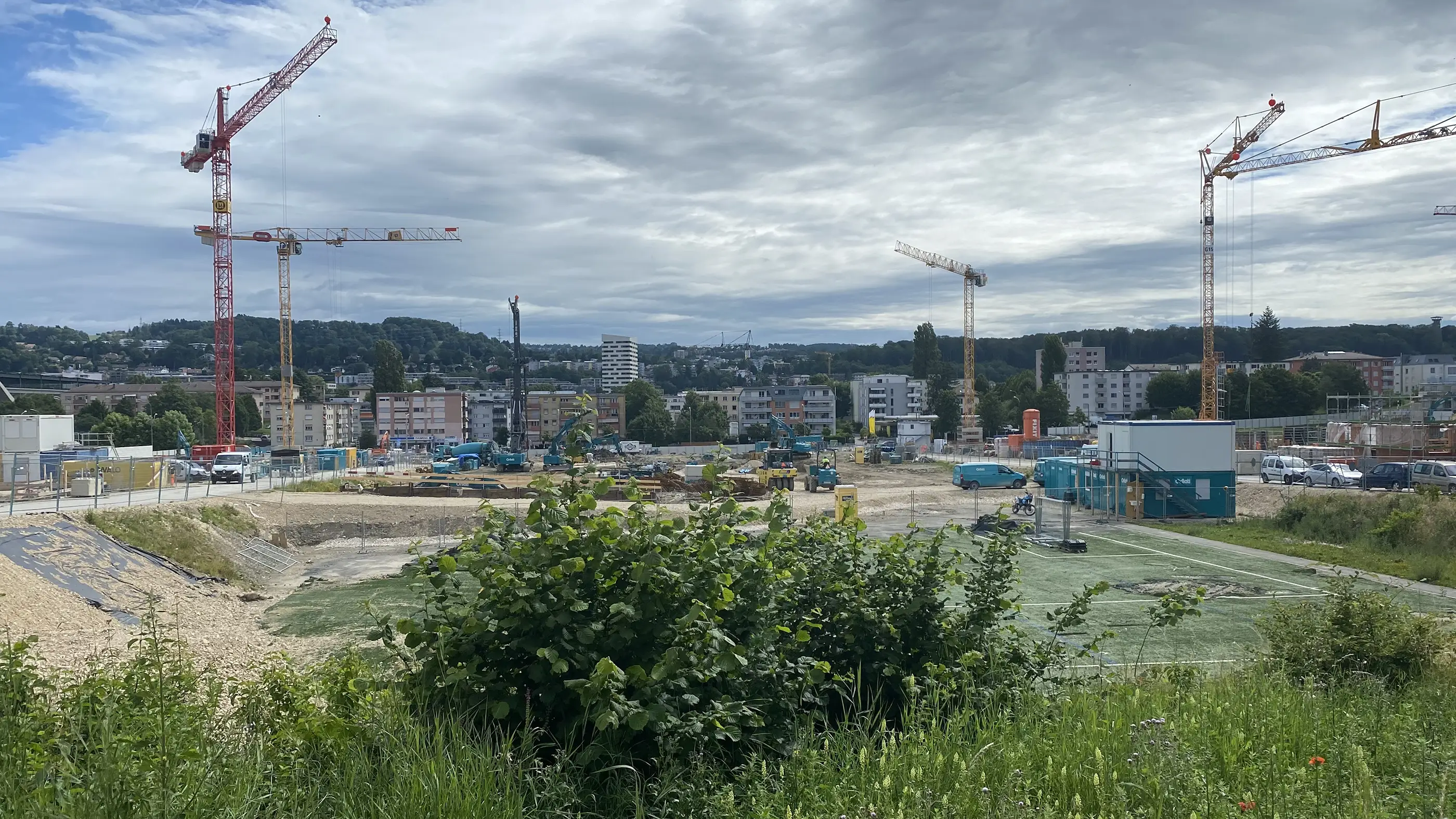 Image agrandie