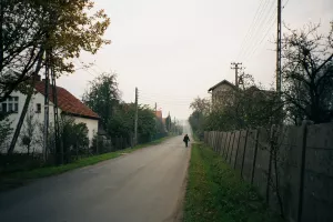 Vignette